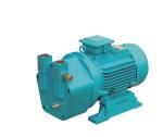Vacuum Pump AAC Block Plant Machinery