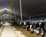 Anti Rust Galvanized Steel Cattle Yard Panels For Farm Fencing