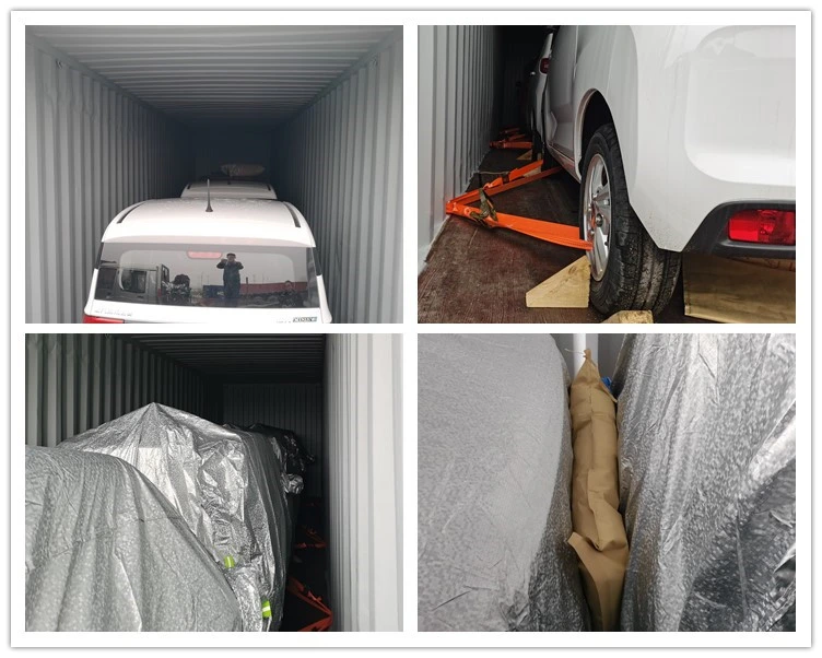 Qingdao China Supplier New Energy Car Cheap Price Electric Adult Vehicle for Sale