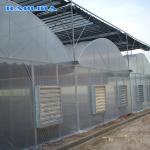 Commercial Poly Tunnel Greenhouse Automated Agriculture Multi Span Greenhouse