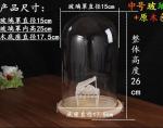 Glass Display Dome Cloche good glass dome to display decoration
