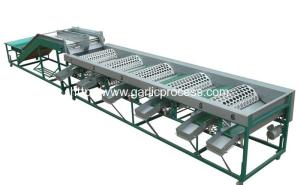 Quality Automatic Garlic Grader Machine for Sale wholesale
