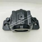 Pillow Block Bearing Housing SNL518-615