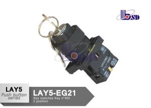 Quality Metal Selector Switch 2 Position Momentary Key Switch LAY5（XB2）EG21 wholesale