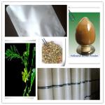tribulus terrestris fruit extract manufacture supply Tribulus terrestris L.