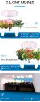 LED Lighting and Intelligent Circulating Water Pump Integrated Hydroponic