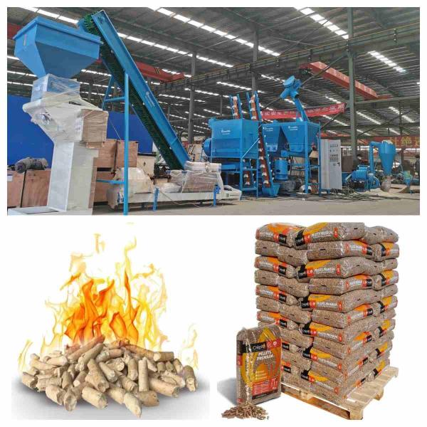 Automatic Full Pellet Production Equipment 800-1000kg/H Wood Pellet Extruder