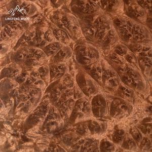 Quality Red Camphor Burl Veneer 0.45mm | LINGFENG wholesale