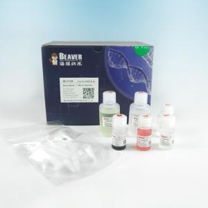 Quality 150 μm His Tag Protein Purification IDA Cobalt Magbeads Kit 10% Volume Ratio wholesale