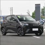 2024 Chinese Byd Seagulls 100% Puer Electric Car 130km/H 5-Door 5 Seats Energy