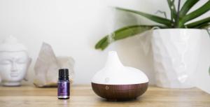 Quality Portable Mini Essential Oil Fragrance Scent Ultrasonic Air Humidifier wholesale