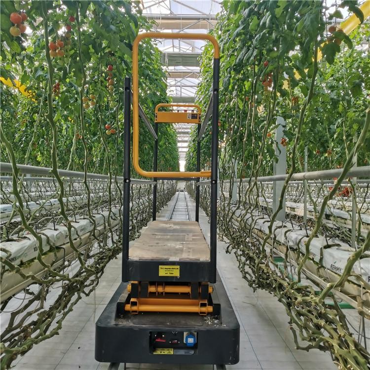 Agricultural Rail Picking Car Track System Is Very Easy Greenhouse Harvest Trolley