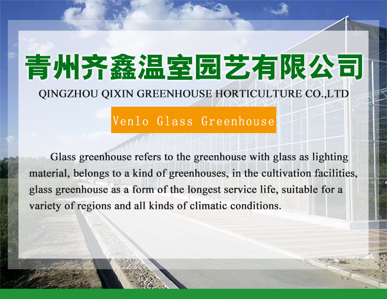 Large Glass Covered Garden Greenhouses for Versatile Planting Options