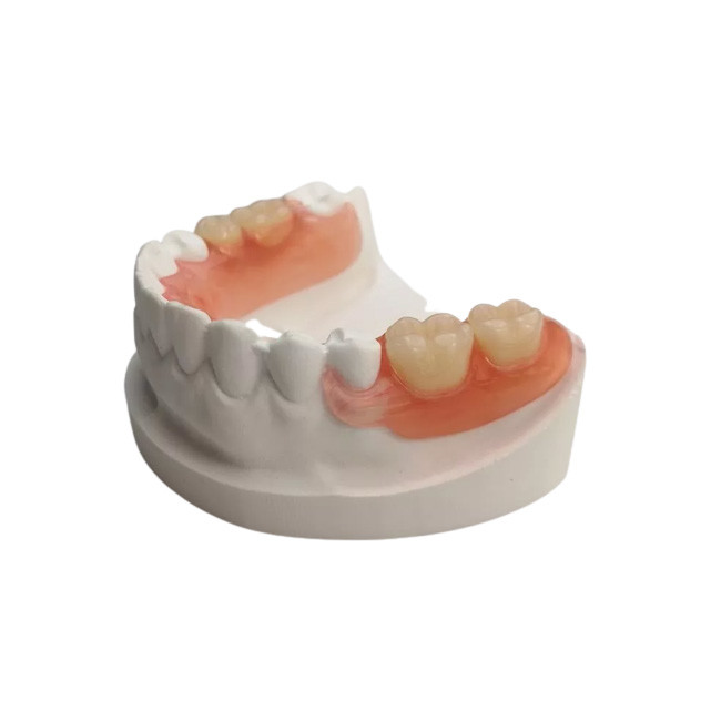 Realistic Shape Zirconia Dental Crown Manufacturing 3D Denture Model