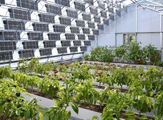 Heat Storage Device Heat Preservation Photovoltaic Greenhouses