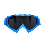 Anti - Fog Display Snow Ski Goggles Glass Snowboard Eyewear