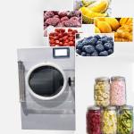 Automatic Protectio Home Food Freezer Machine Mini Household