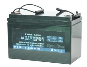 Quality Portable 24v 30ah Lifepo4 Battery Lifepo4 Lithium Ion Battery wholesale