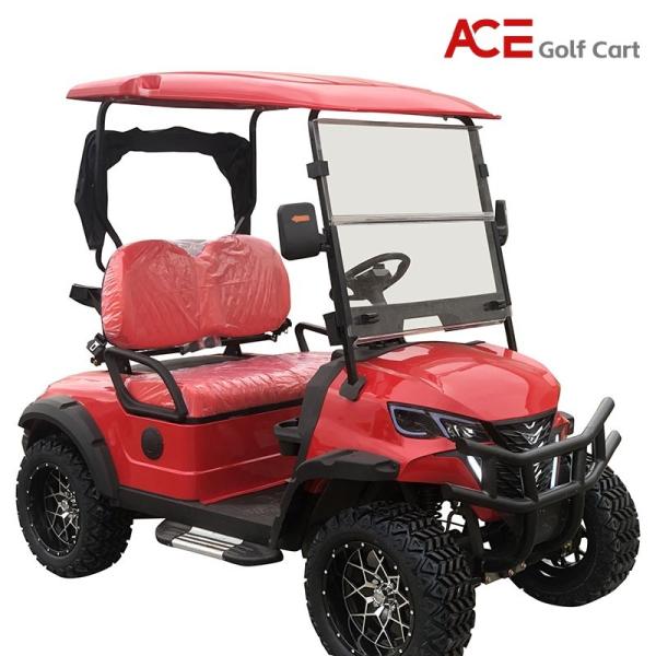 14 Inches Tire Size 2 People Electric Drive Golf Cart With Artificial Leather