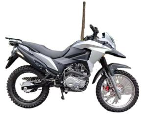 Quality Super new speedo rig vx 250cc enduro racing other motorcycle motos motocicleta sportbikes cheap dirt bikes dirtbike 250c wholesale