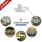 30 inch 110V 230V ABS Blades Ceiling Fan With Light 35W DC Motor