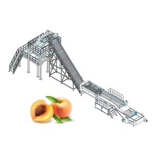 Quality Ce Standard Peach Apricot Fruit Processing Equipment wholesale
