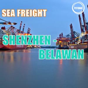 Quality NVOCC Shenzhen China To Belawan Indonesia Ocean Cargo Logistics International wholesale