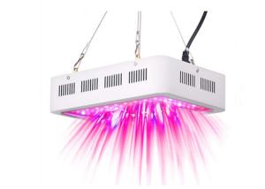 Quality Dual Chip LED Plant Grow Light Strong Brightness With Long Lifespan 600W - 2000W wholesale