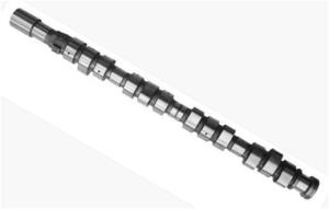 Quality BRAND NEW 2.5D 12V WL/T WL-51-420A CAMSHAFT FOR FORD WLT ranger 2.5TDCI wholesale