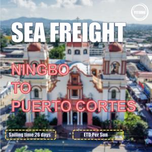 Quality 26 Days Sailing Worldwide Sea Freight Services From Ningbo To Puerto Cortes Honduras wholesale