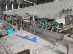Stainless Steel 304 Fruit and Vegetable Blanching Machine for Large-Scale