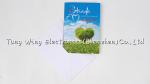 Personalized Musical greeting card with sound , sound greeting card
