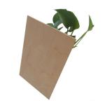 Full Hardwood Core MR 12mm Film Faced Birch Plywood