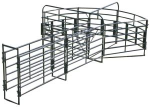 Quality Powder Coated Livestock Handling Equipment 8ft Adjustable Cattle Alleyway wholesale