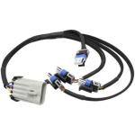 Customized Wiring Harness for GY6 150cc City Cocoa Electric Scooter in Oceania