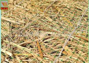 Quality Green Square Polypropylene Mesh Screen For Erosion Control Blanket wholesale