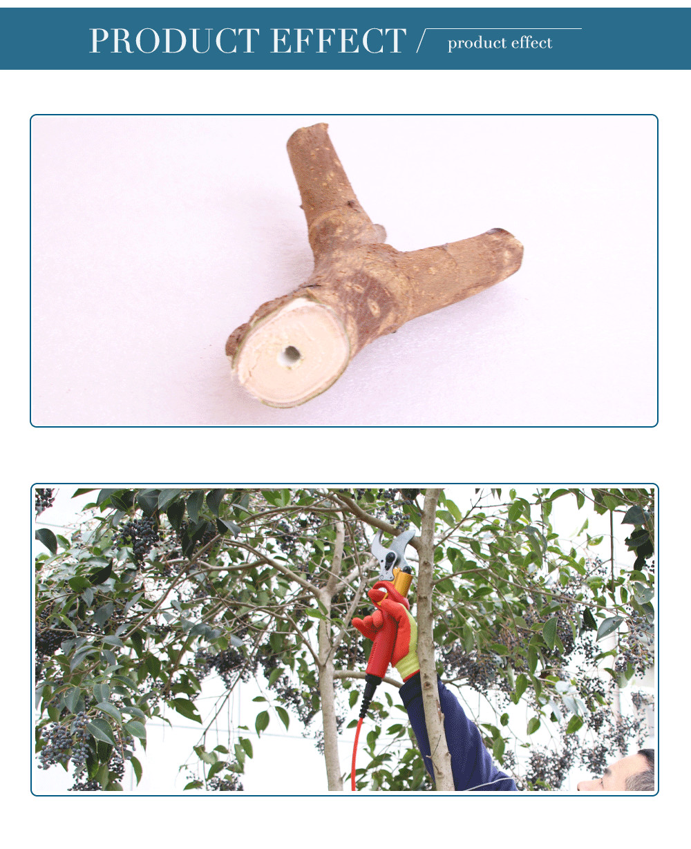 Swansoft Professional Electric Pruning Shears 4.0ah Li-ion Battery 4.0CM Bypass Electric Pruner