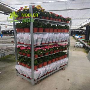 Quality 1350MM Shopping 100kg/Shelf Ez Racks Danish Container wholesale