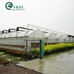 Greenhouse Aquaponics Hydroponic Growing System with Cooling and Ventilation