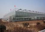 Galvanized Pipe Double Glazed Greenhouse Good Light Transmittance Snow Resistant