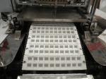 Gelatin Jelly Gummy Candy Production Line Pectin Jelly Gummy Candy Production