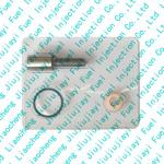 High Durability Cummins Injector Nozzles Repair Kits Assembly P4307070FSW