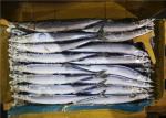 60g 70g Bulk #1 High Protein Frozen Pacific Saury