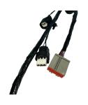 Waterproof Automotive Wire Harness Assembly For Lighting Cable PVC Copper