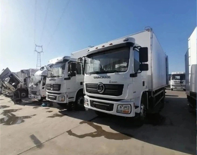 245HP Support Customization l3000 shacman Cargo Truck 4x2 Transport Vehicle