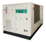 20bar 132KW Medium Pressure Rotary Screw Gas Compressor