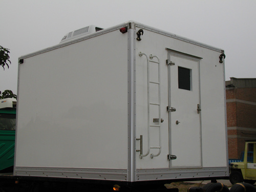 Professional Van/Cargo Box/Truck Body for Sale