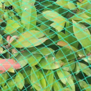 Quality Customized Plant Protection Netting Green Crop Protection Netting Agricultural wholesale