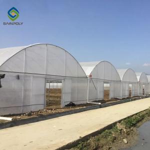 Quality Steel Frame Double Arch 4.5m Multi Span Greenhouse wholesale
