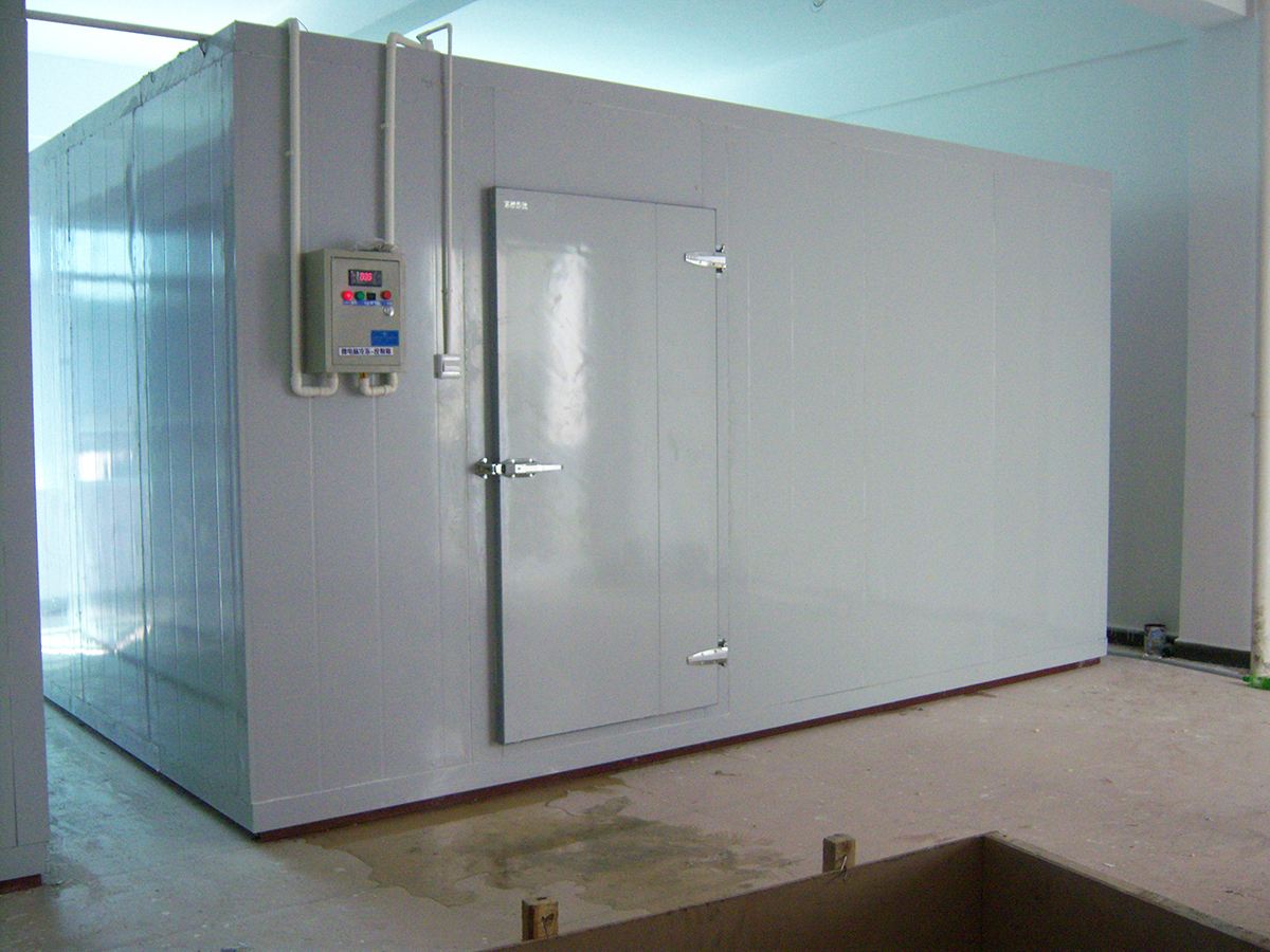 Commercial Cold room price 20ft container walk in freezer cold storage for keep fresh fruits /vegetables /fish/transportation